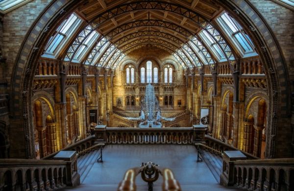 Hall d'intérieur du musée d'Histoire Naturelle à Londres