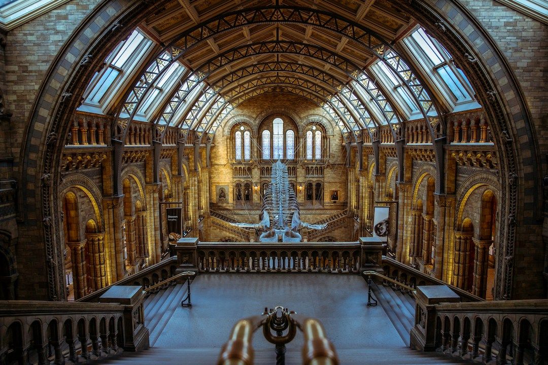 Hall d'intérieur du musée d'Histoire Naturelle à Londres