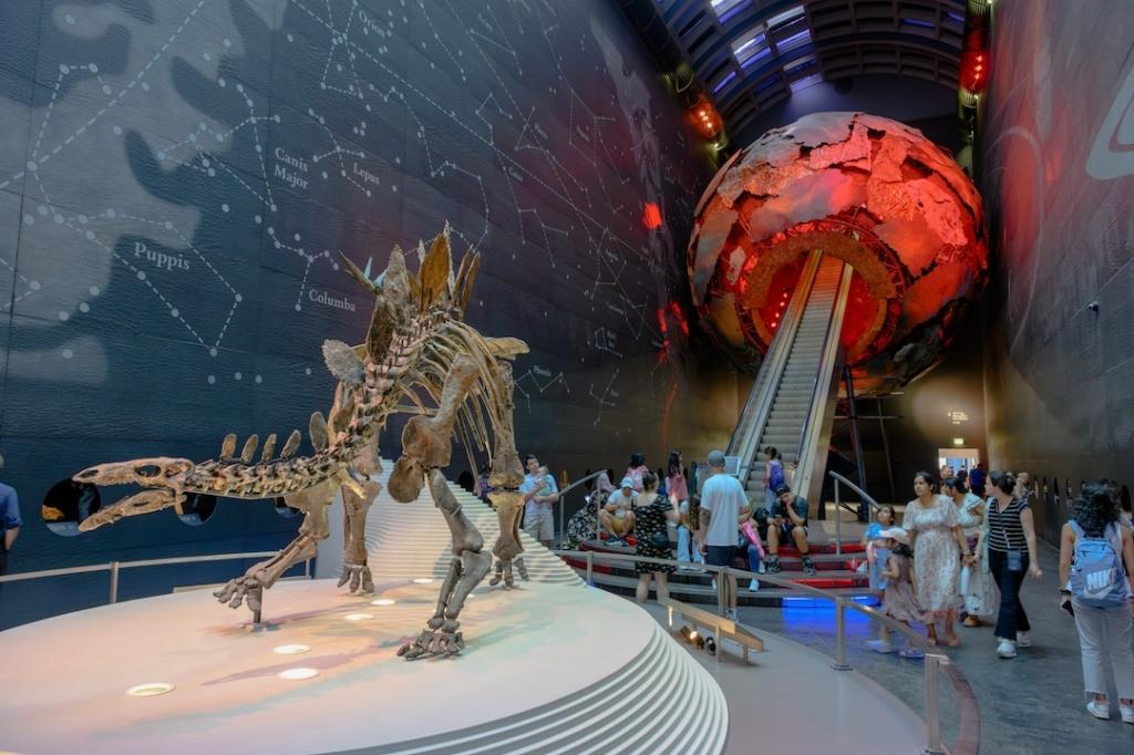 Fossile de dinosaure au musée d'Histoire Naturelle à Londres