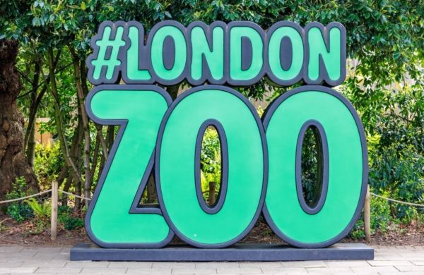 Le hashtag du zoo de Londres