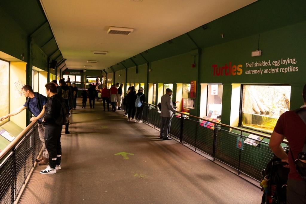 Maison des reptiles au zoo de Londres