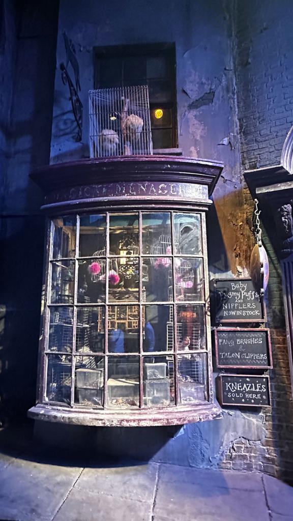 Studios Harry Potter Londres - Chemin de traverse
